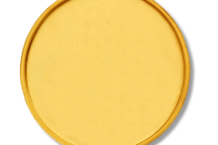 Prazna-medalja